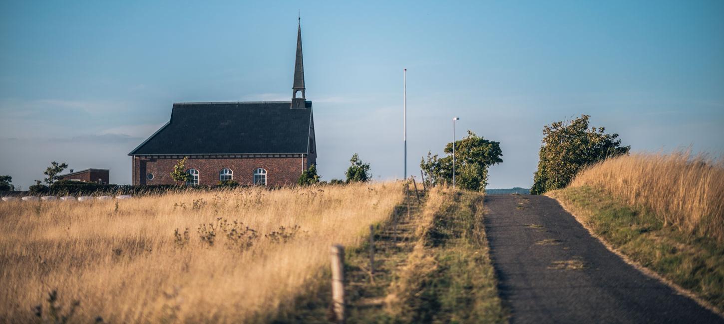 Landevej omringet af marker i varme farver og med en kirke i baggrunden.
