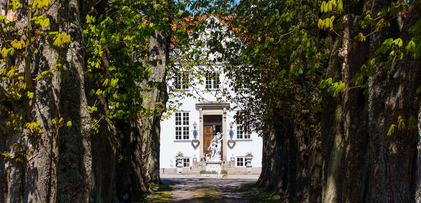 Hvid bygning ses for enden af allé med tætte træer.