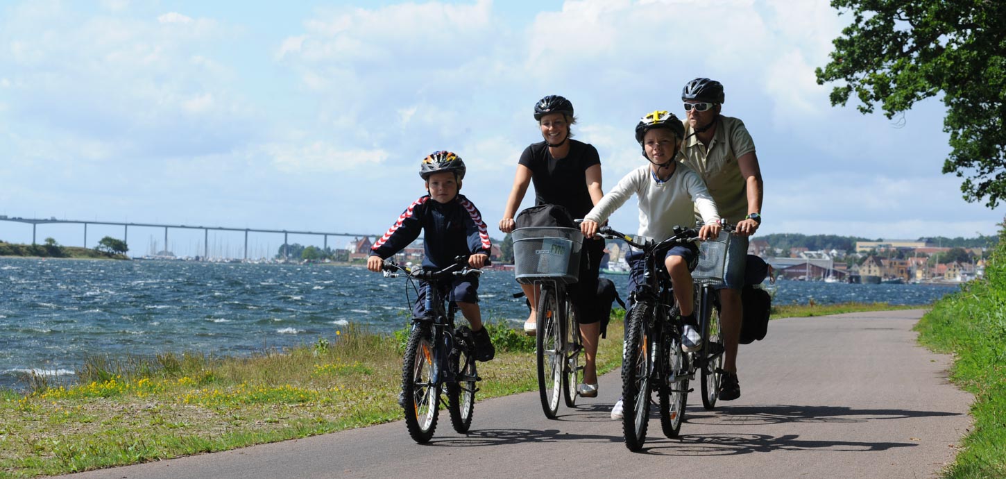 Familie på fire på cykel på asfalteret vej med havet og Svendborgsundbroen i baggrunden.