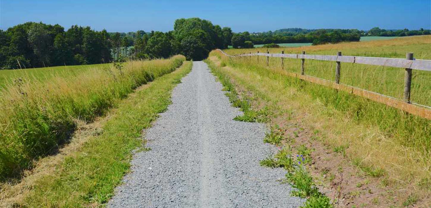 Grussti med græs og græsmark til begge sider og hegn i den ene side.