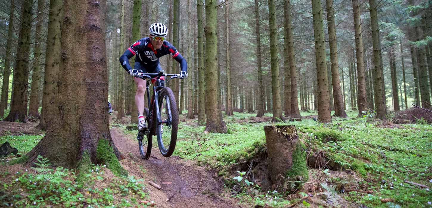 En mountainbiker i skoven, omringet af træer og vildt mos.
