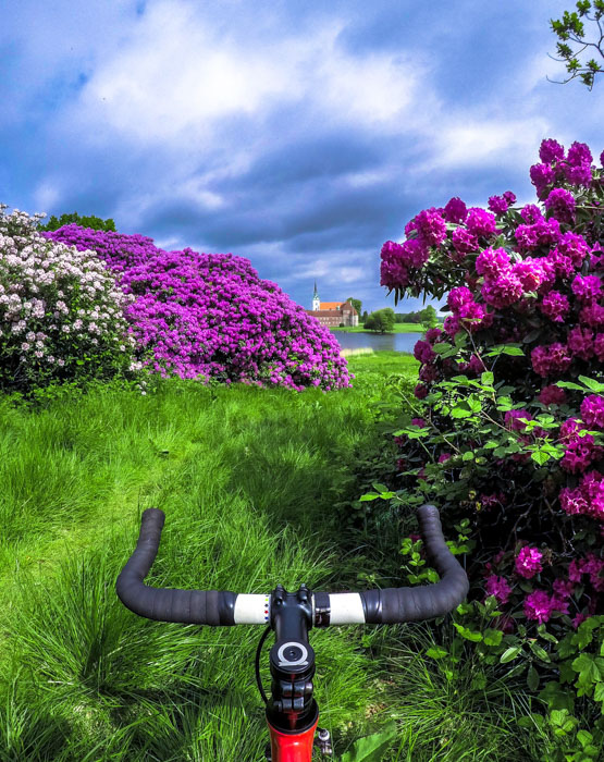 Et kig henover cykelstyret viser grønt græs, blomstrende hvide og violette rododendron og en slot på den anden side af en sø i baggrunden.