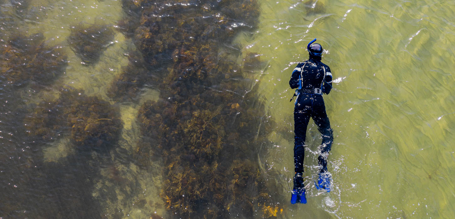 Dykning dyk diving aktiv hav Fyn øhavet