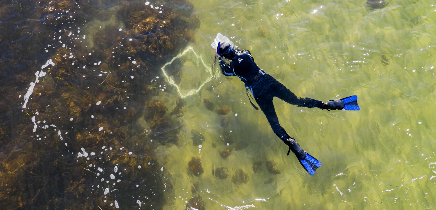 Dykning dyk diving aktiv hav Fyn øhavet
