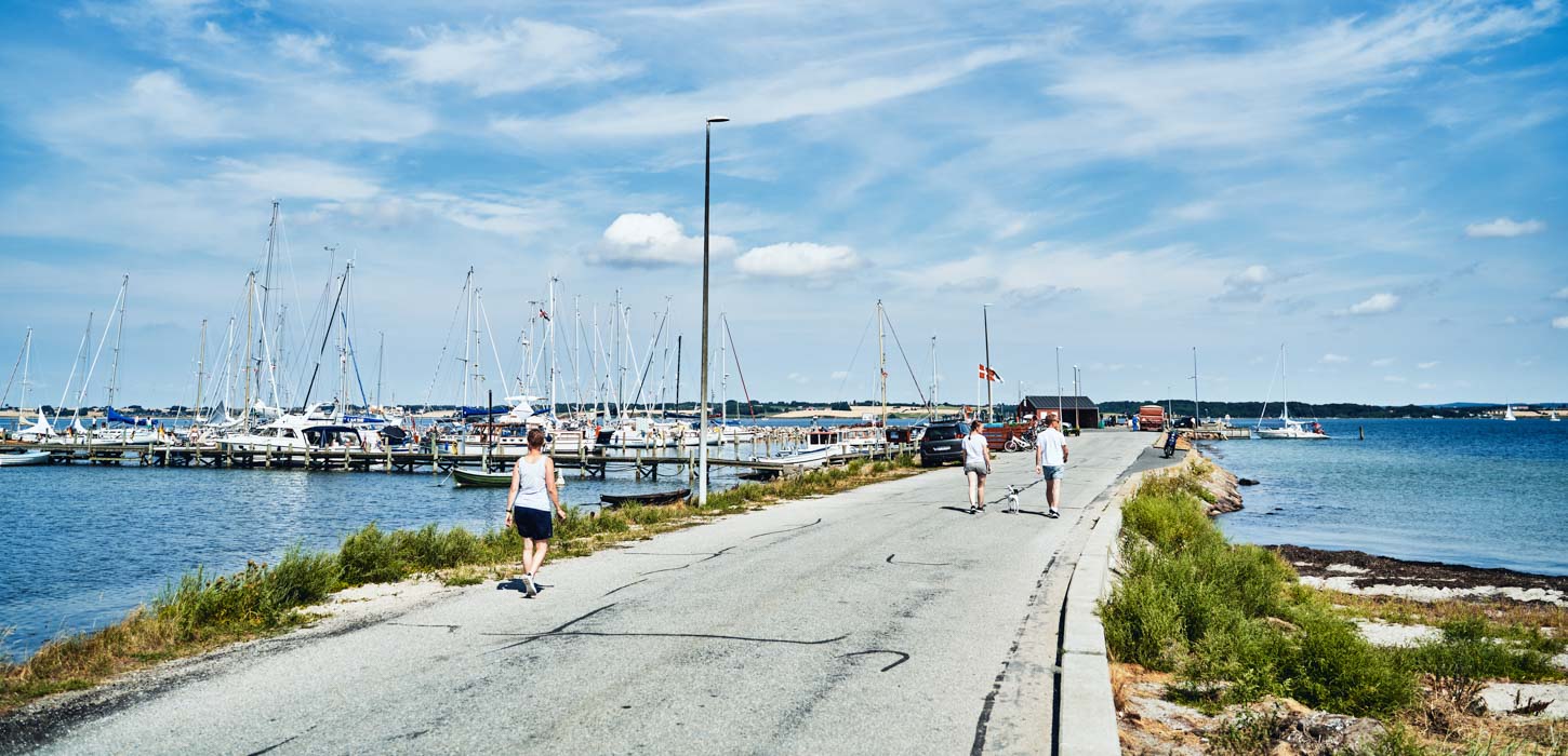 På en asfalt vej går tre mennesker og en hund. På højre side af vejen er der vand, mens der på venstre side er vand og en havn med en masse både.
