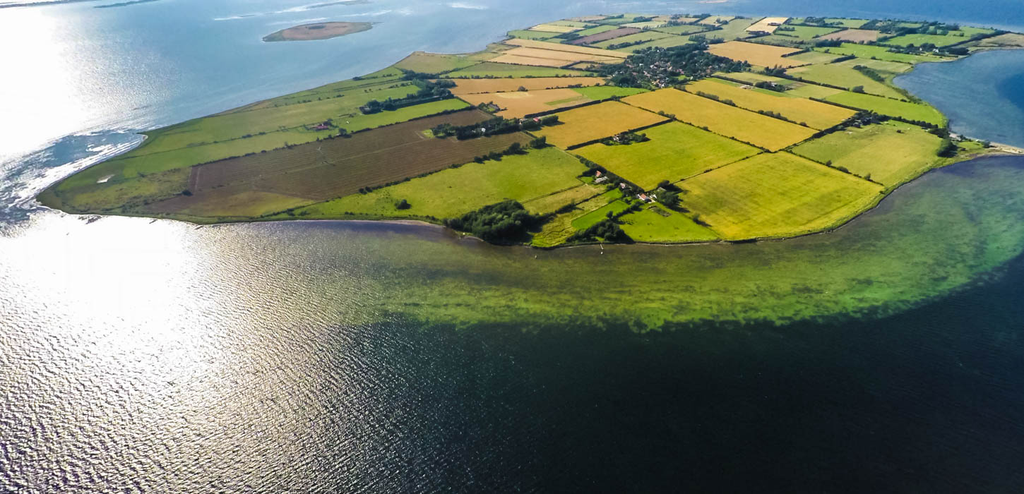 Strynø set fra oven i drone-shot med marker i forskellige grønne nuancer. 