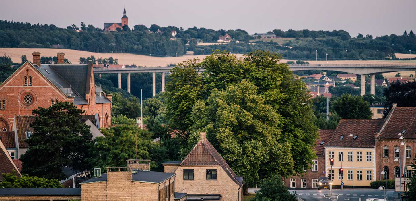 Svendborg foroven med udsigt til hustoppe, træer og marker i baggrunden.