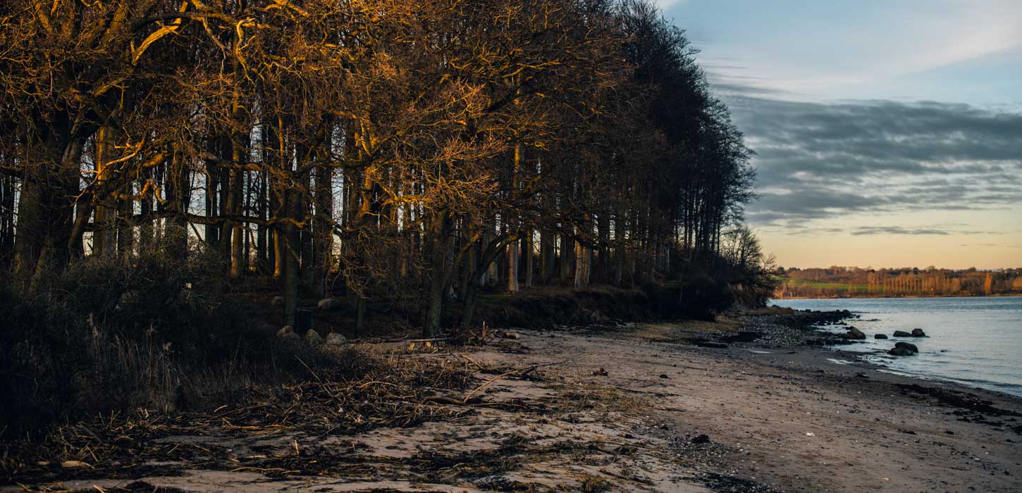 Skov og strand mødes under en flot solnedgang.
