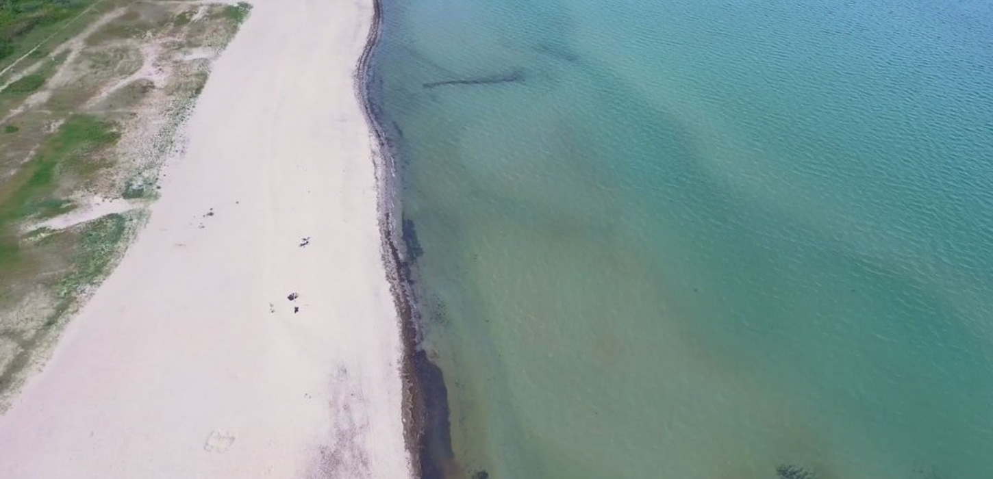 En dronebillede af en strand. Til venstre ses grønt græs. I midten er sand. Til højre er havet.