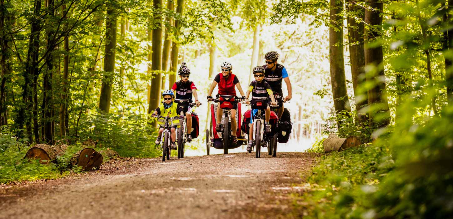 En familie på to voksne og tre børn cykler afsted i sportstøj og hjelme gennem en grøn skov. De følger en sti omgivet af frodige, grønne træer med sollyset, der filtreres igennem løvet, hvilket skaber en varm og indbydende atmosfære. 