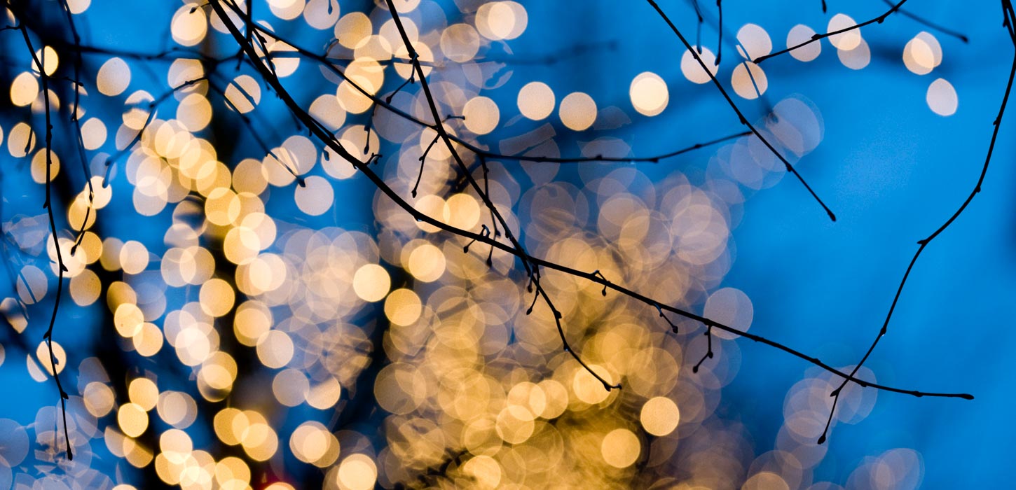 Sorte grene er i fokus og i baggrunden er en mørkt himmel og en sløret lyskæde