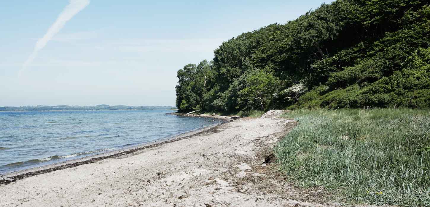 damsbo skov strand assens fyn