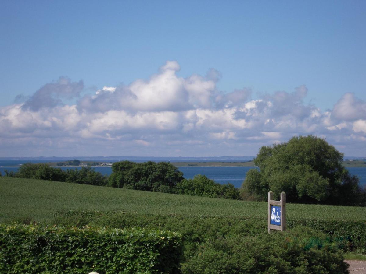 Åben grøn mark med træer i baggrunden, skyer på himlen og et lille skilt, der indikerer et bed&breakfast.