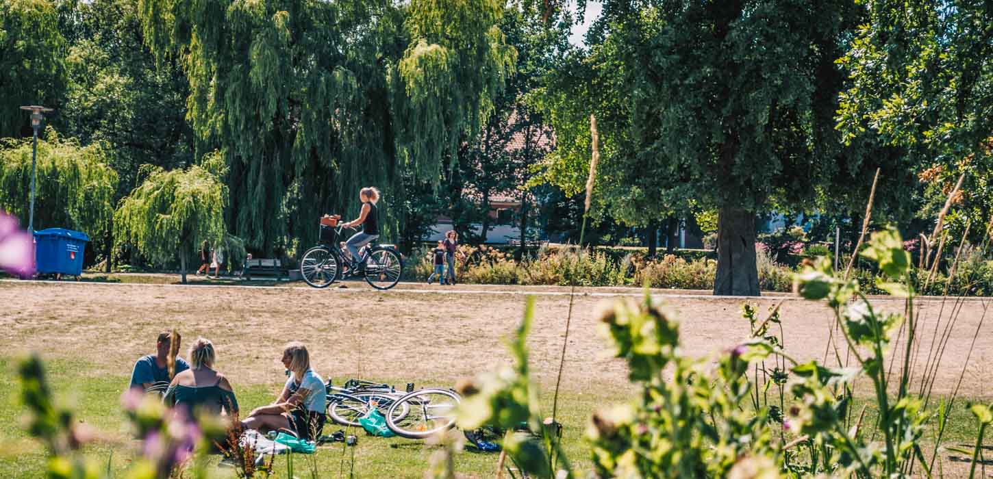 Munkemose park i Odense på en sommerdag. En flok unge mennesker sidder på et tæppe og hygger sig, mens en cyklist cykler på en sti i baggrunden.