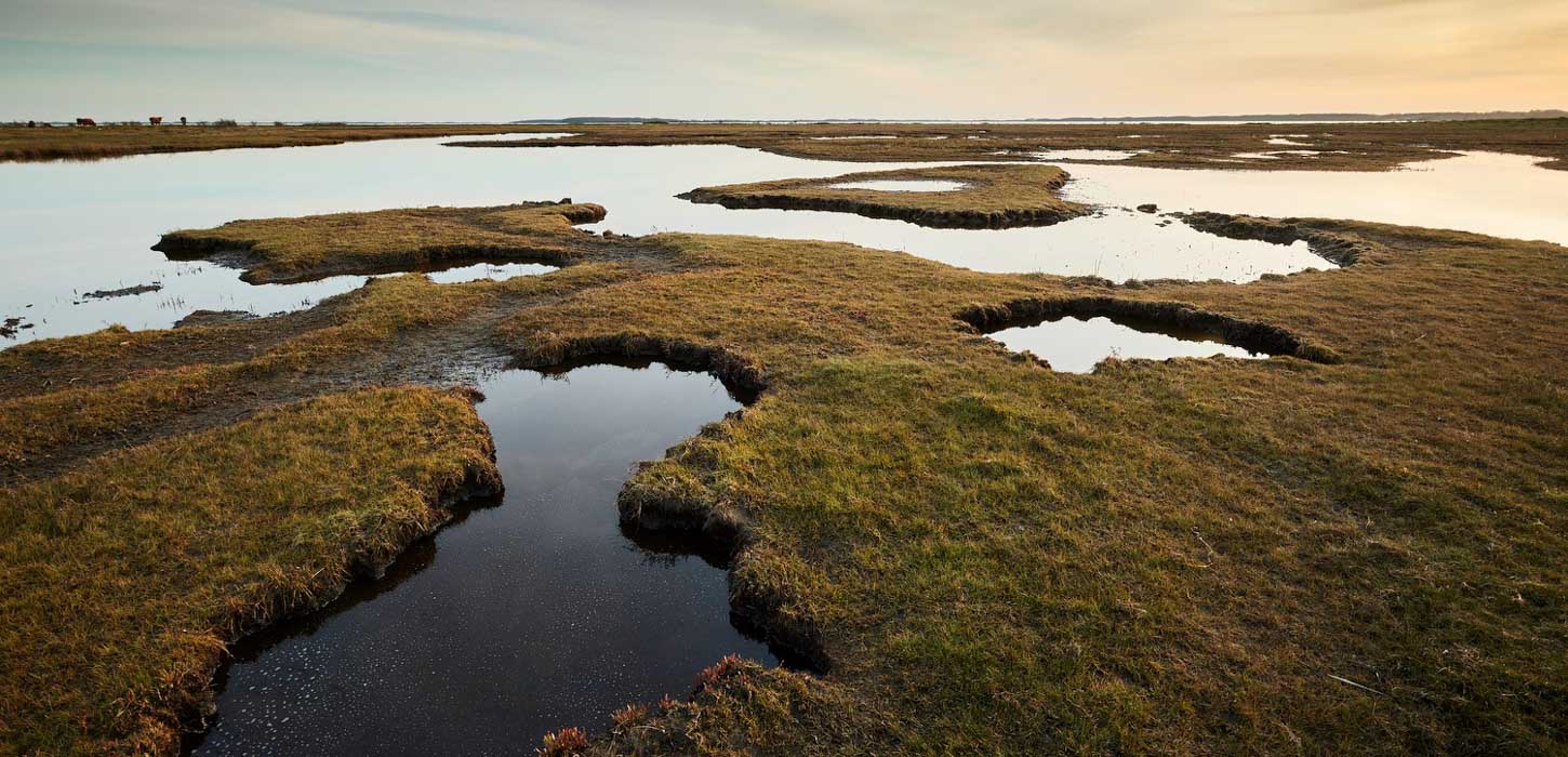 Thurø revs landskab set i en flot eftermiddagssol med himlen, der spejler sig i vandet.