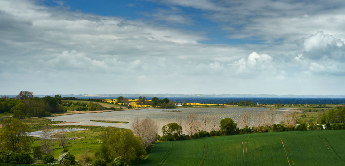 Vitsø på Ærø. Naturområde med sø, rapsmarker, marker og blå himmel.