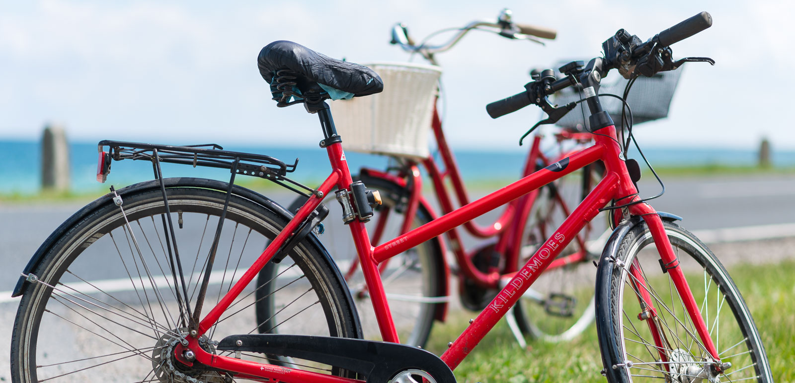 To røder cykler står på et græsstykke op ad en vej.