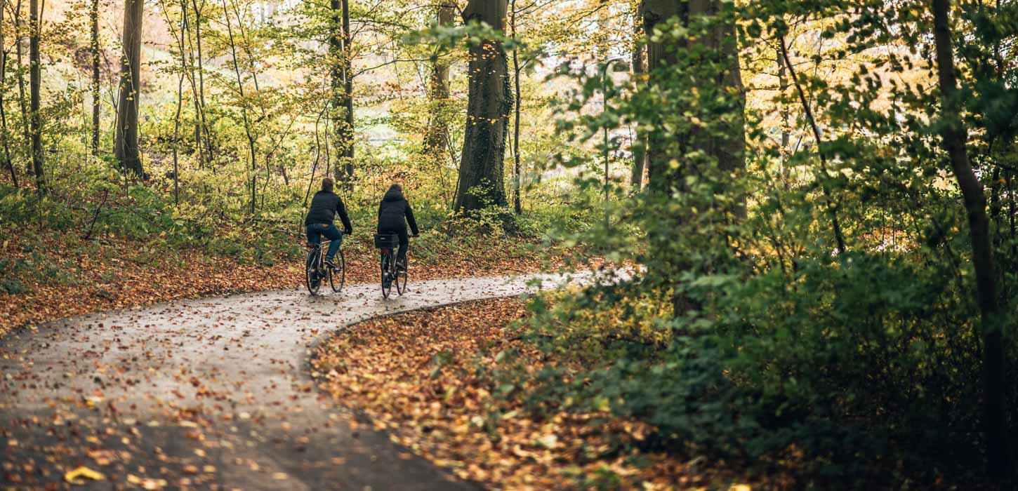 To cyklister med ryggen til cykler af sted på asfaltsti i efterårsskov med nedfaldne blade.