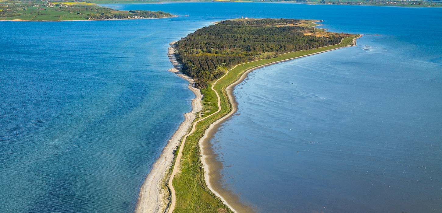 Enebærodde på Nordfyn set fra luften - en lang grøn tange med sandede stier, der går ud i det blå vand.