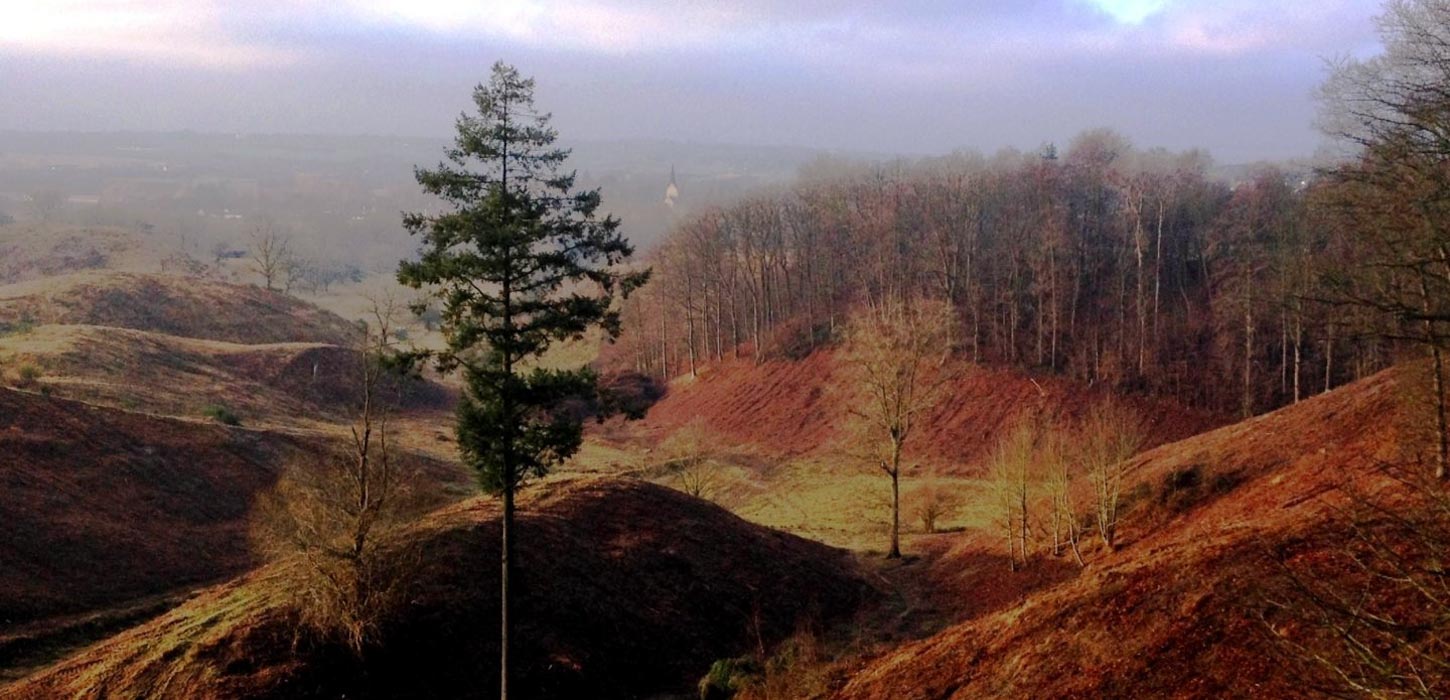 Bakket naturlandskab med træer.