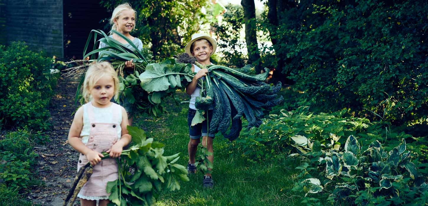 Tre børn med rabarber og kål i favnene. Bag dem ses kanten af et sort sommerhus og til højre er en høj hæk.