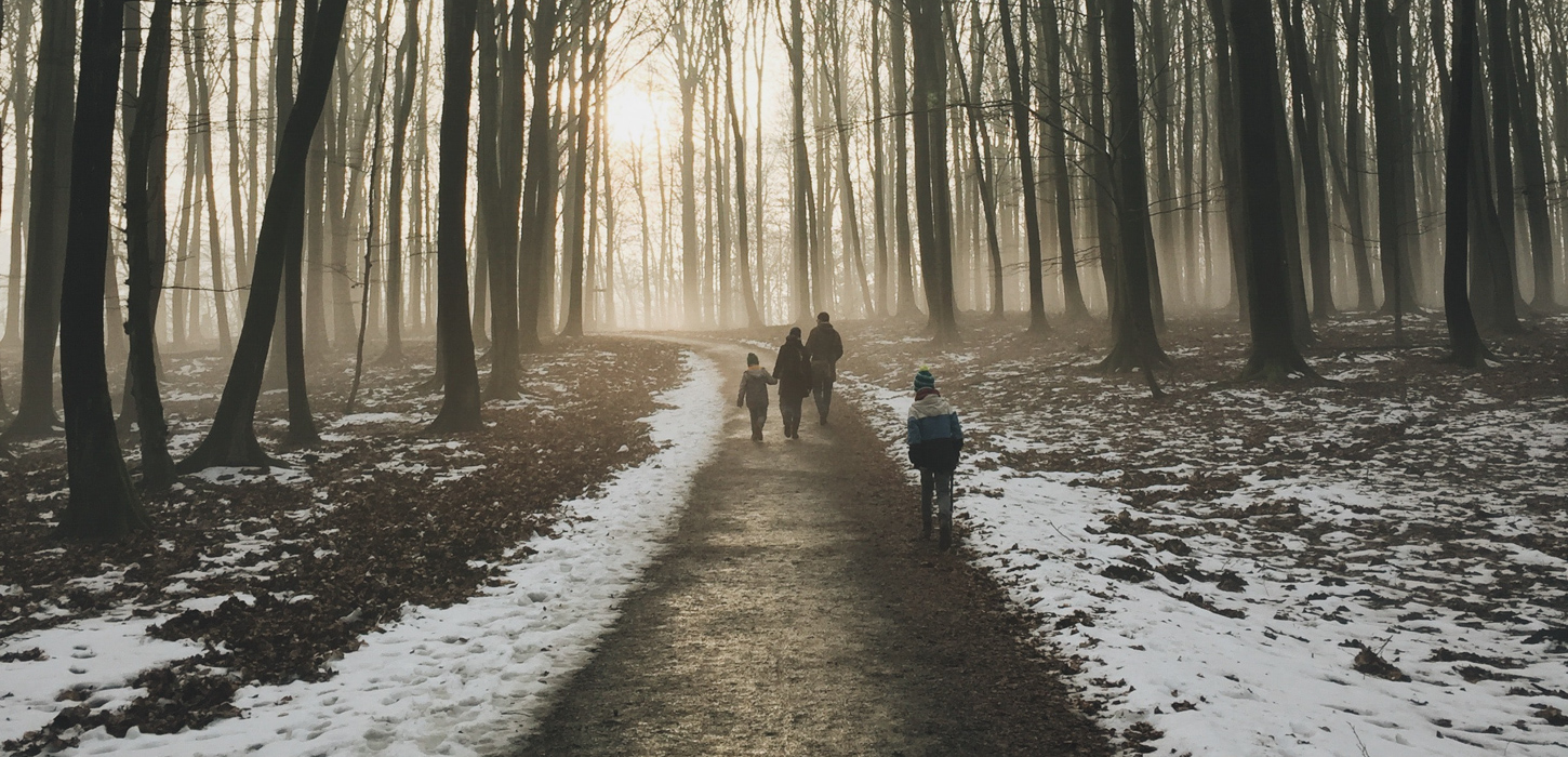 En sti gennem skoven har sne på hver side og på stien går nogle voksne og børn.