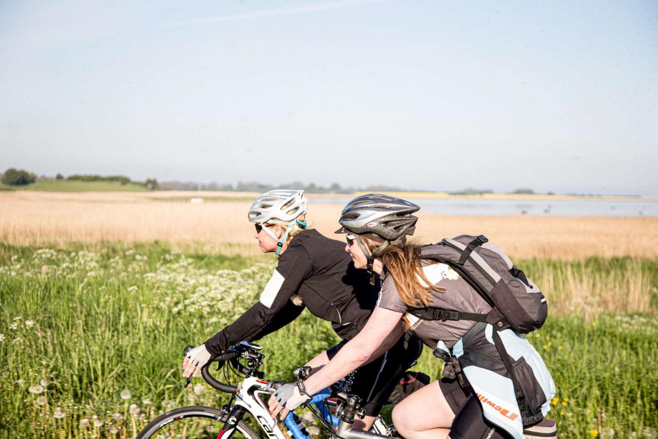 To kvinder på cykel og med cykelhjelme set fra siden. De cykler langs en grøn og gul mark.