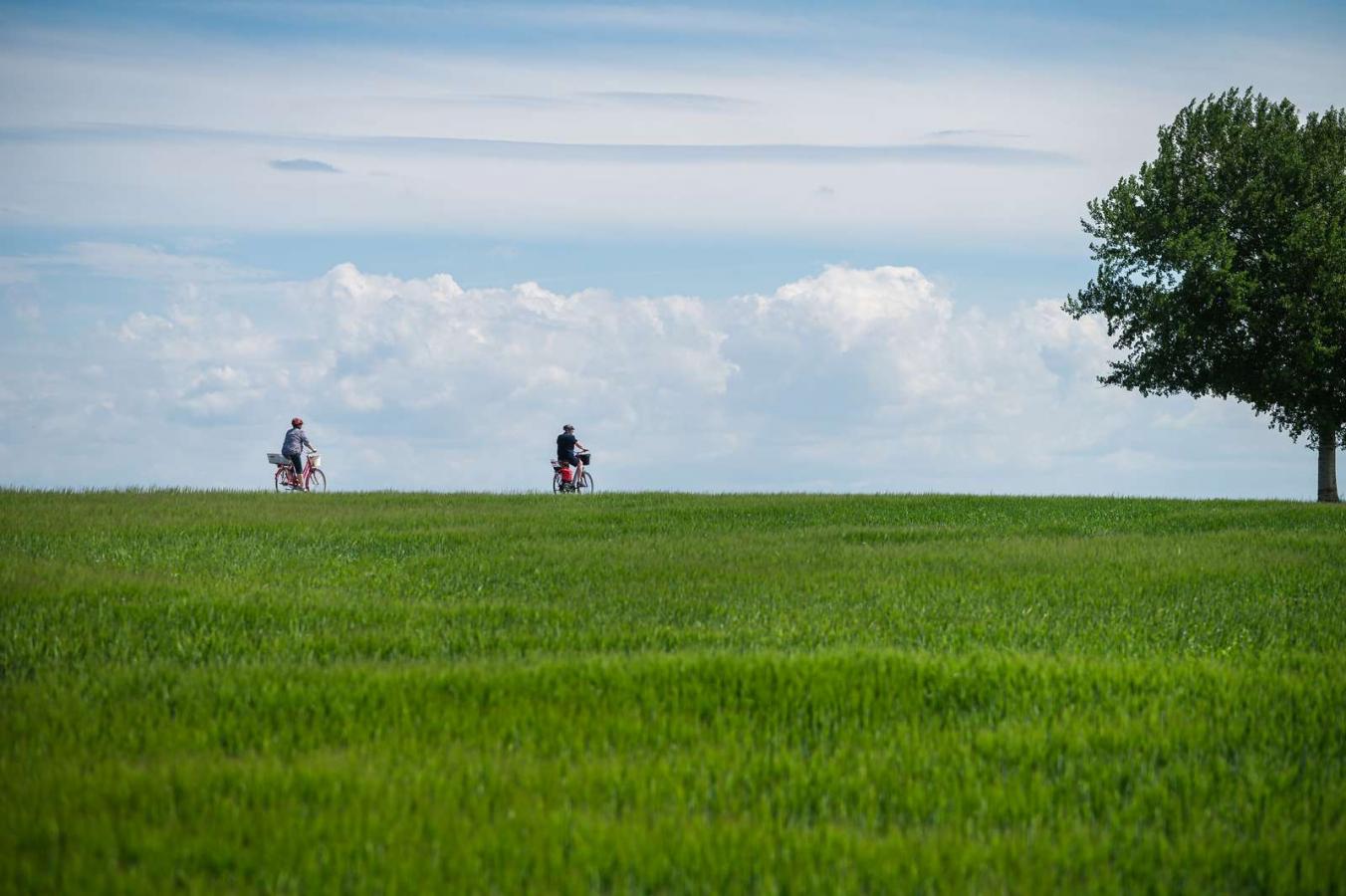 To cyklister ses cyklende langs en bølgende grøn græsmark under en blå himmel. Til højre i billedet et stort træ