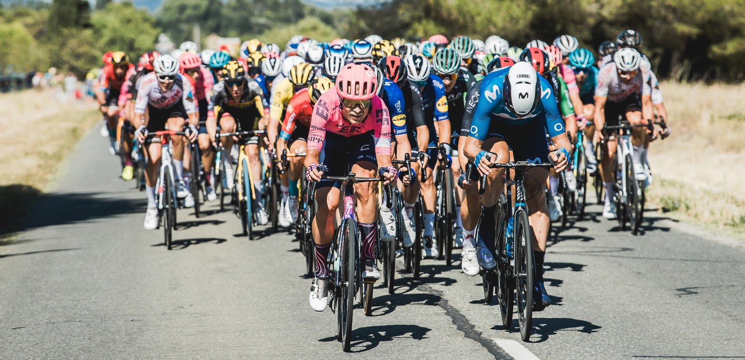 Stor gruppe af cykelryttere på landevejen