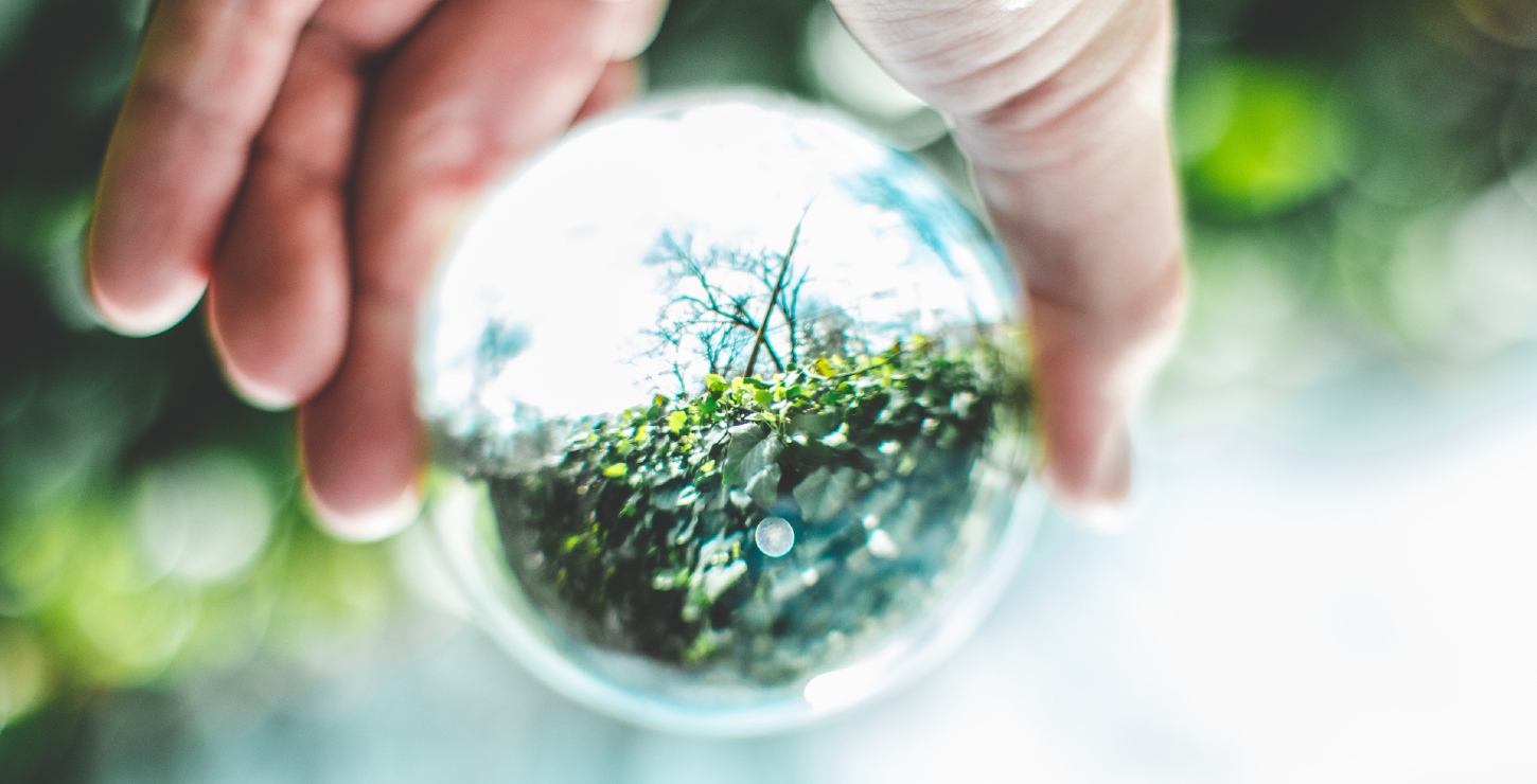 Nærbillede af en hånd, der holder en kugle, hvori et grønt miljø med buske og træer spejler sig.