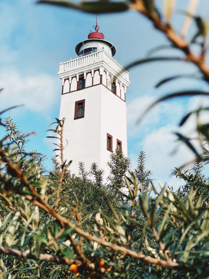 Et hvidt fyrtårn set fra et frøperspektiv nede i krattet