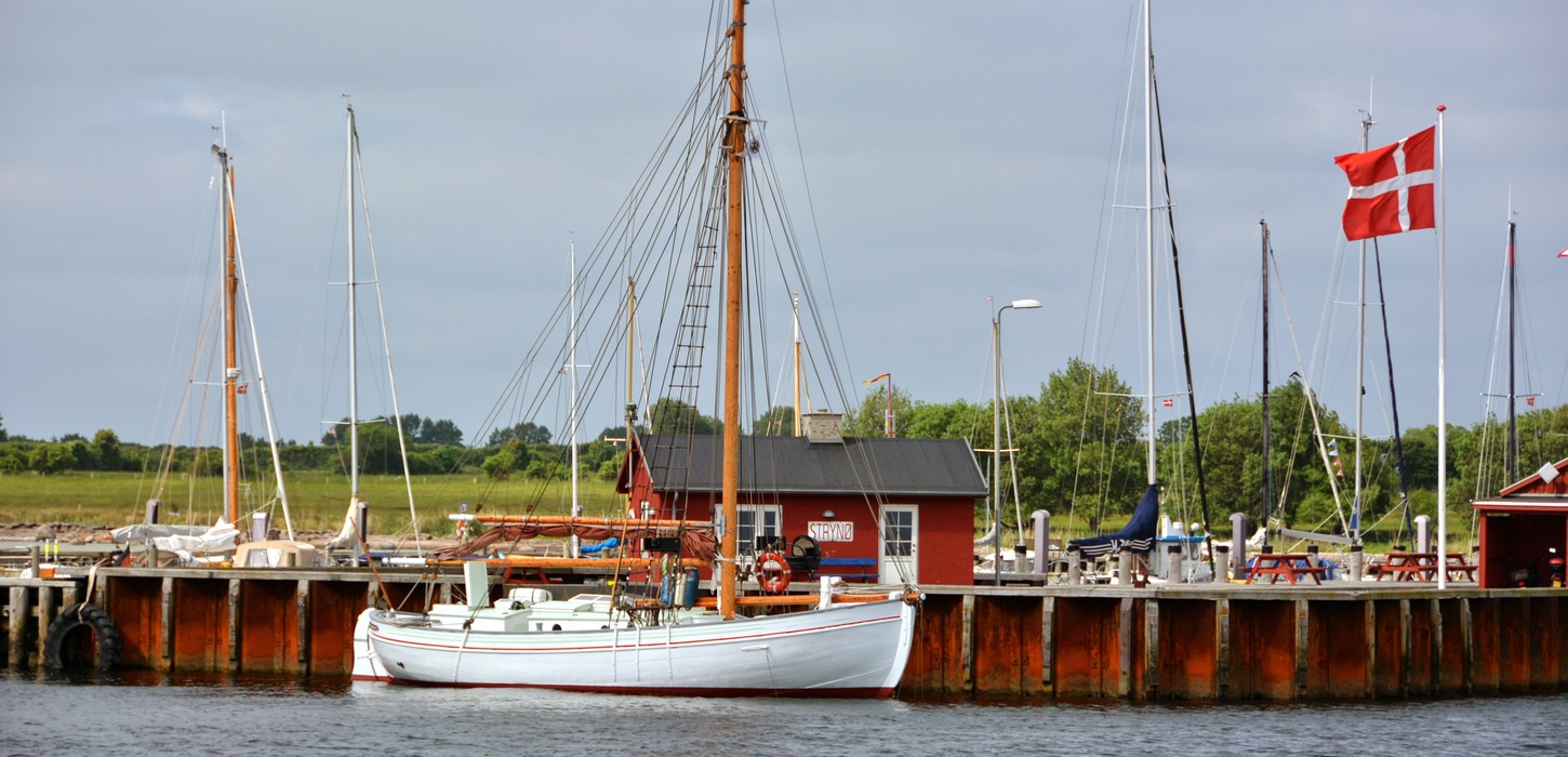 Flotte sejlskibe ligger til ved en havn med dansk flag.