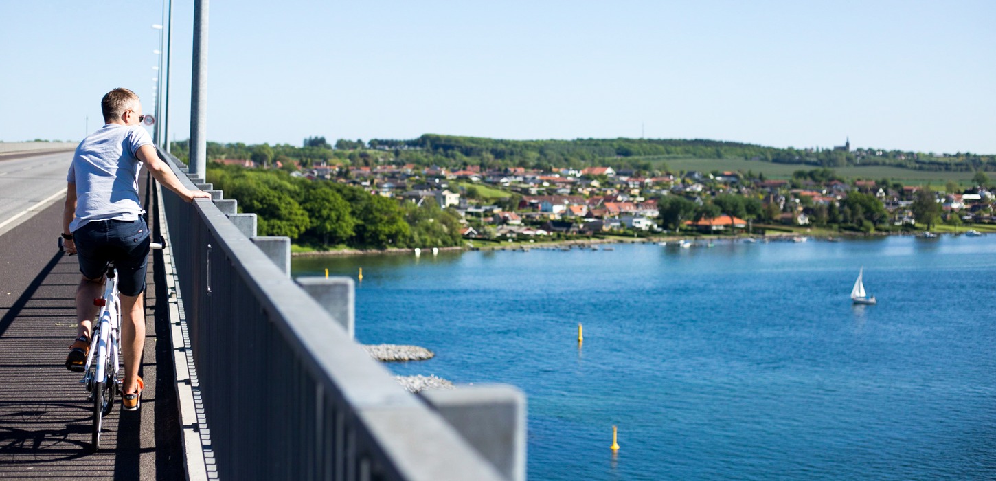 Mand på cykel med hånden på gelænderet på Svendborgsundbroen. Han ser ud over det blå vand.