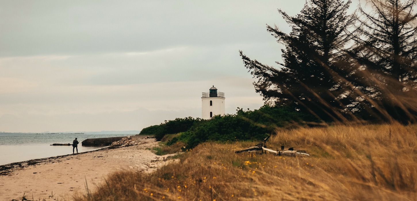 Strand på Bågø. En person går på stranden til venstre i billedet og fyrtårnet ses i baggrunden midt i billedet. Til højre står et par store træer og der er masser af strandgræs.