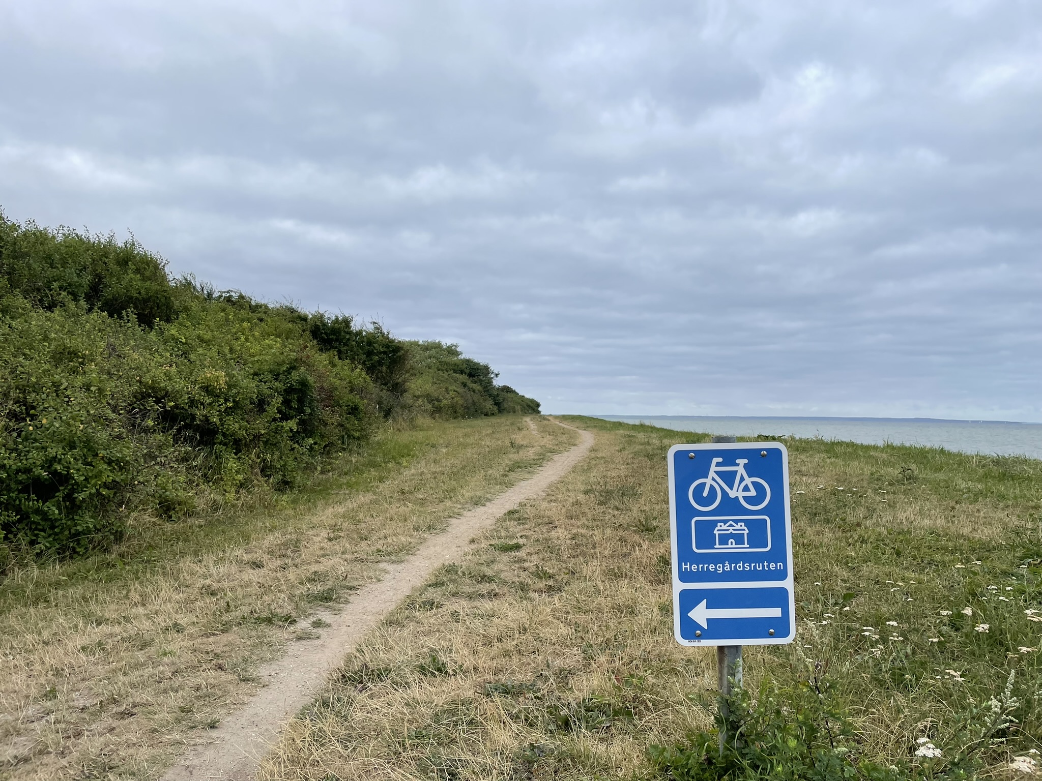En græseng der grænser op til havet med en lang grussti som fortsætter i horisonten. I forgrunden er et blåt skilt med en cykel, en pil til venstre og navnet Herregårdsruten. 