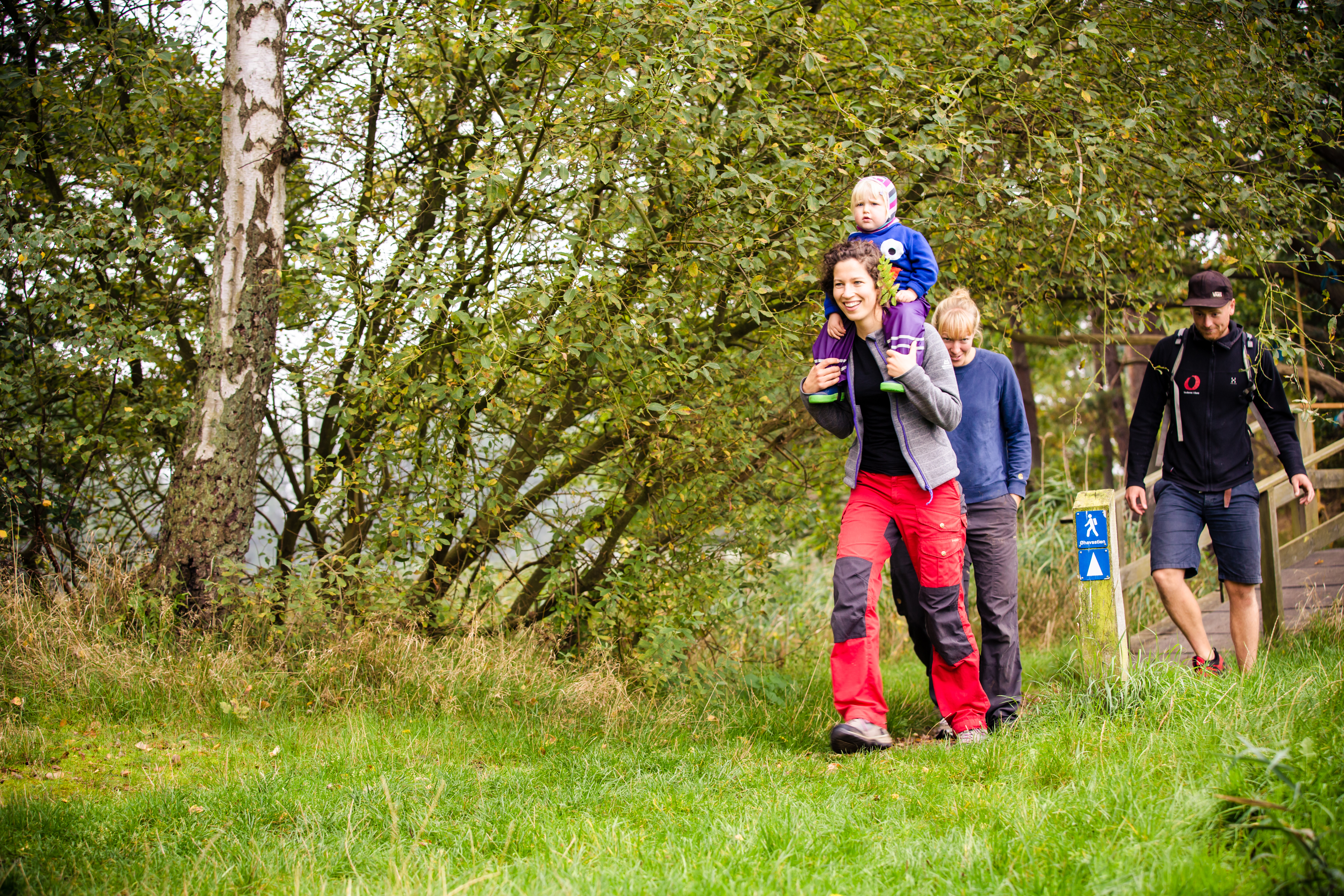 Familie på vandretur i en skov. Forrest er en person med et barn på skuldrene og bagved ses to yderligere personer samt et blåt vandreskilt.