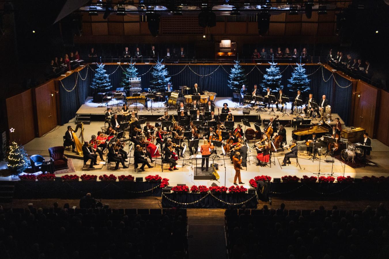 Odense Symfoniorkester spiller til en julekoncert med juletræer i baggrunden.
