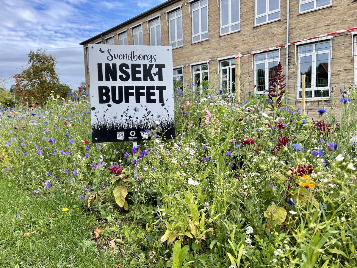 Bygning set udefra med skiltet "Svendborgs insektbuffet" midt i en masse vilde blomster.