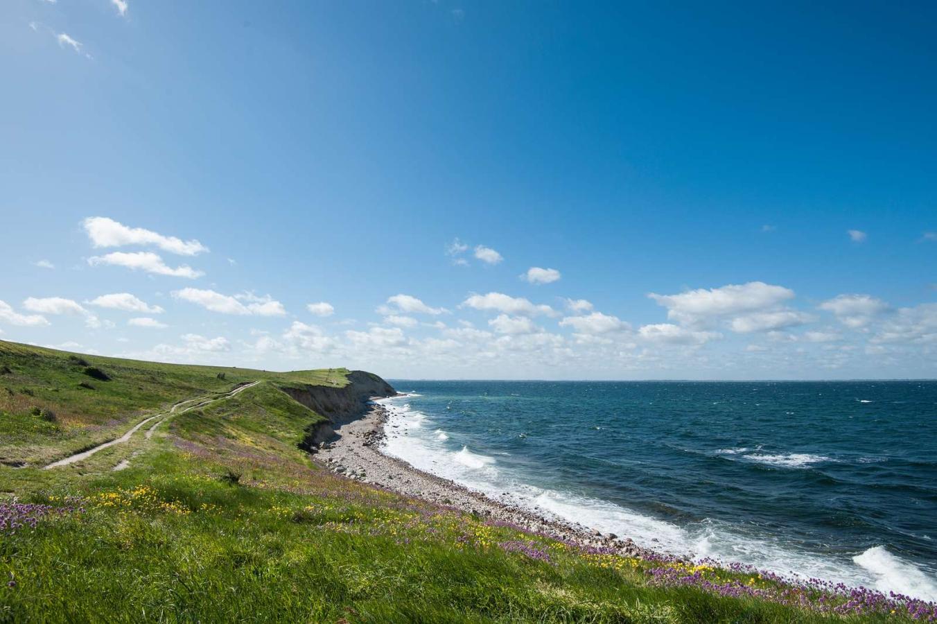 Strandkant med bølgende blåt vand, lyst sand og masser af grønt på land