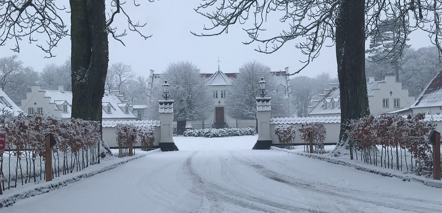 En snedækket vej viser ind gennem en port og to store træer med Boltinggaard Gods i baggrunden
