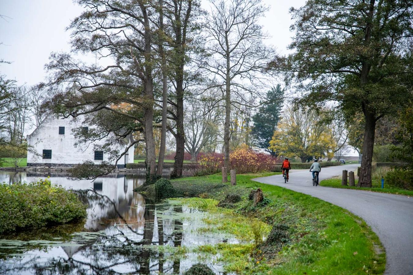 To cyklister anes mellem nogle høje træer på vejen langs med sø eller gadekær ved hvid bygning.