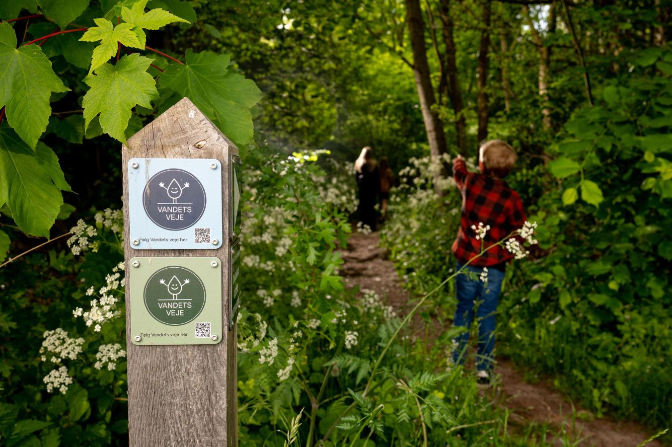 Pæl med to vandreskilte, der står i et skovbryn. I baggrunden ses en lille dreng.