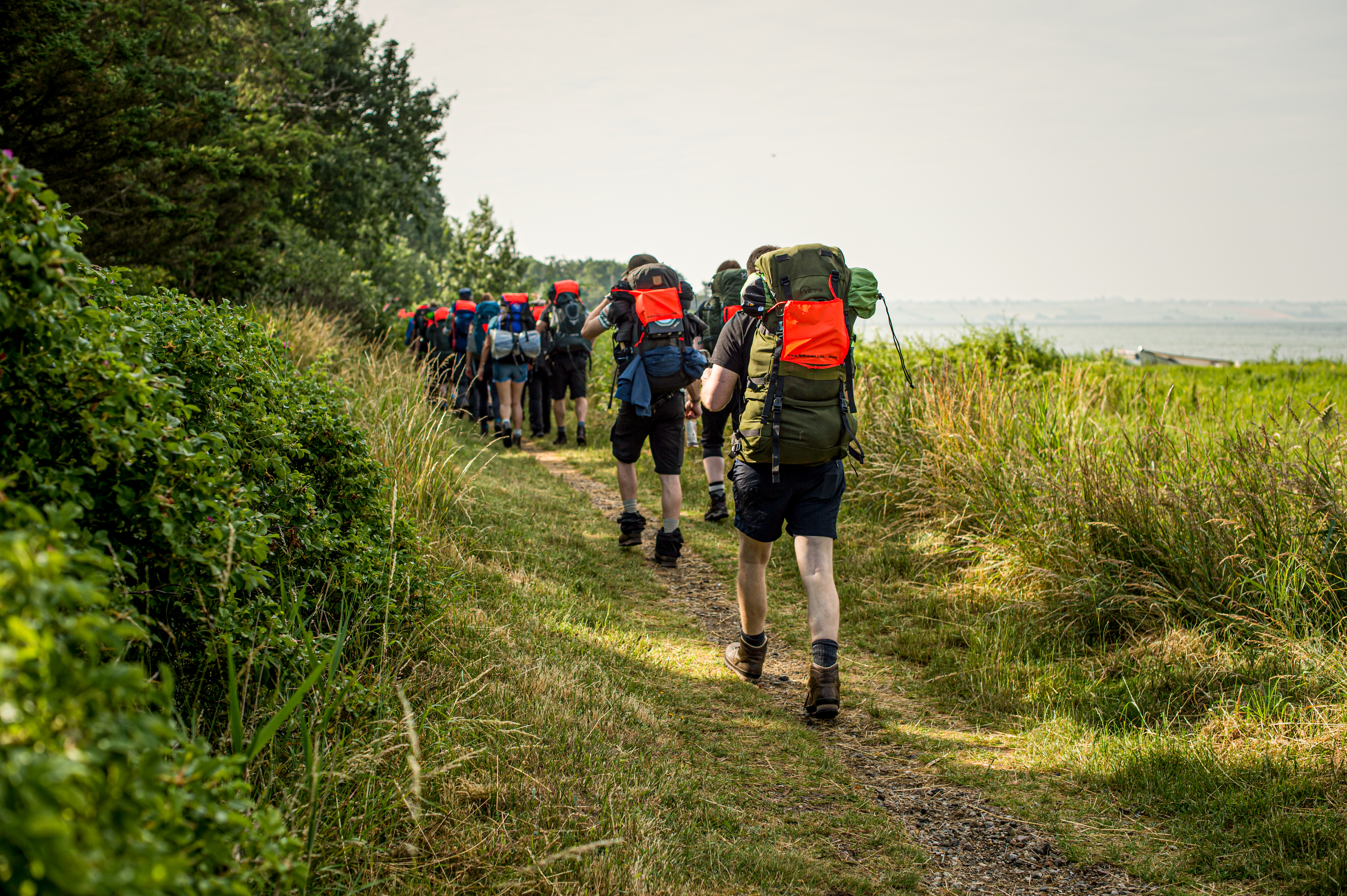 Vandrere med vandrerygsække går på en smal vandresti mellem skov og strand.