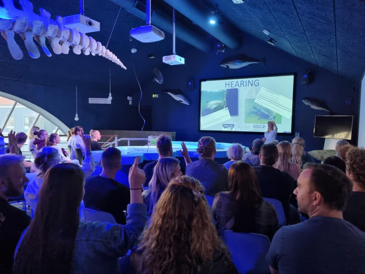 Konferencedeltagere sidder og mørket og kigger op på et lærred. I loftet hænger et hval-skelet.