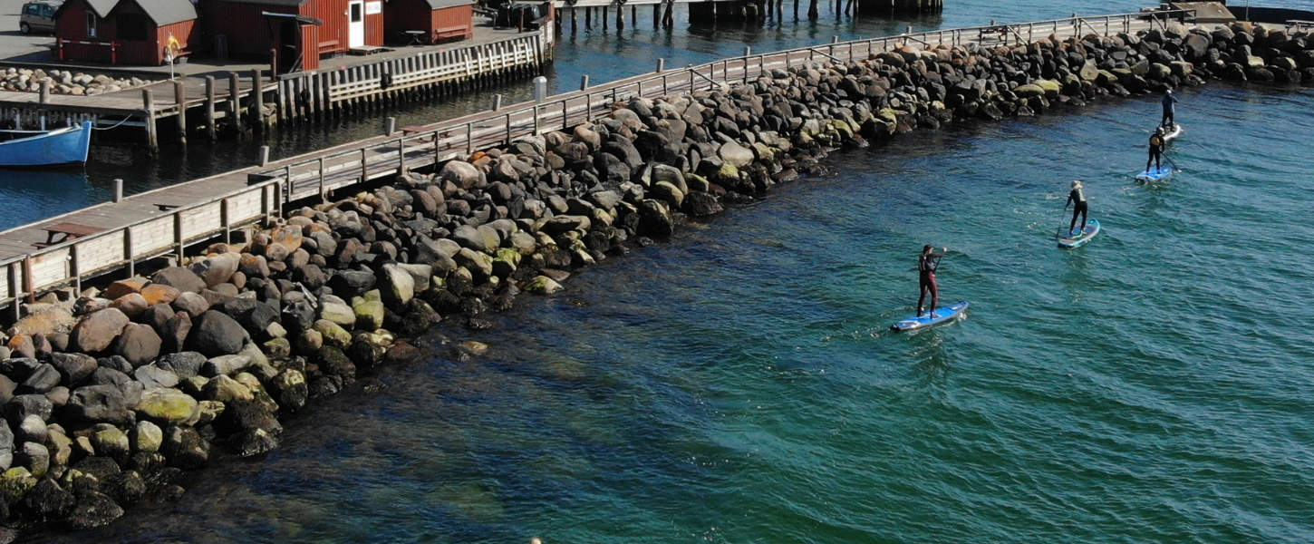 4 personer står på stand up paddle boards på vandet langs kajen ved Lohals