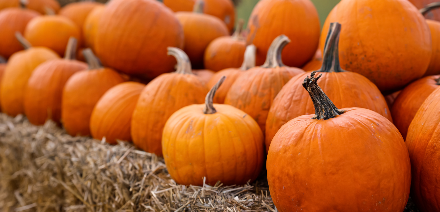 Orange græskar stablet oven på hinanden på høstakke