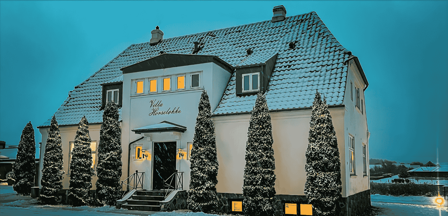 Sneklædt gammel villa med juletræer foran