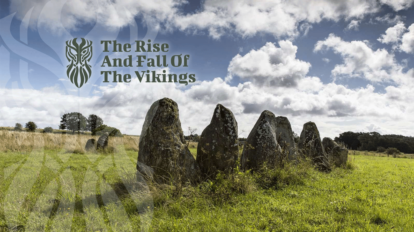 Høje skarpe sten står i en vikingeskabt formation, der kaldes skibssætning på en grøn mark