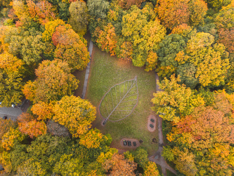 Et luftfoto af en skov om efteråret med gyldne farver og en række planter formet som et blad
