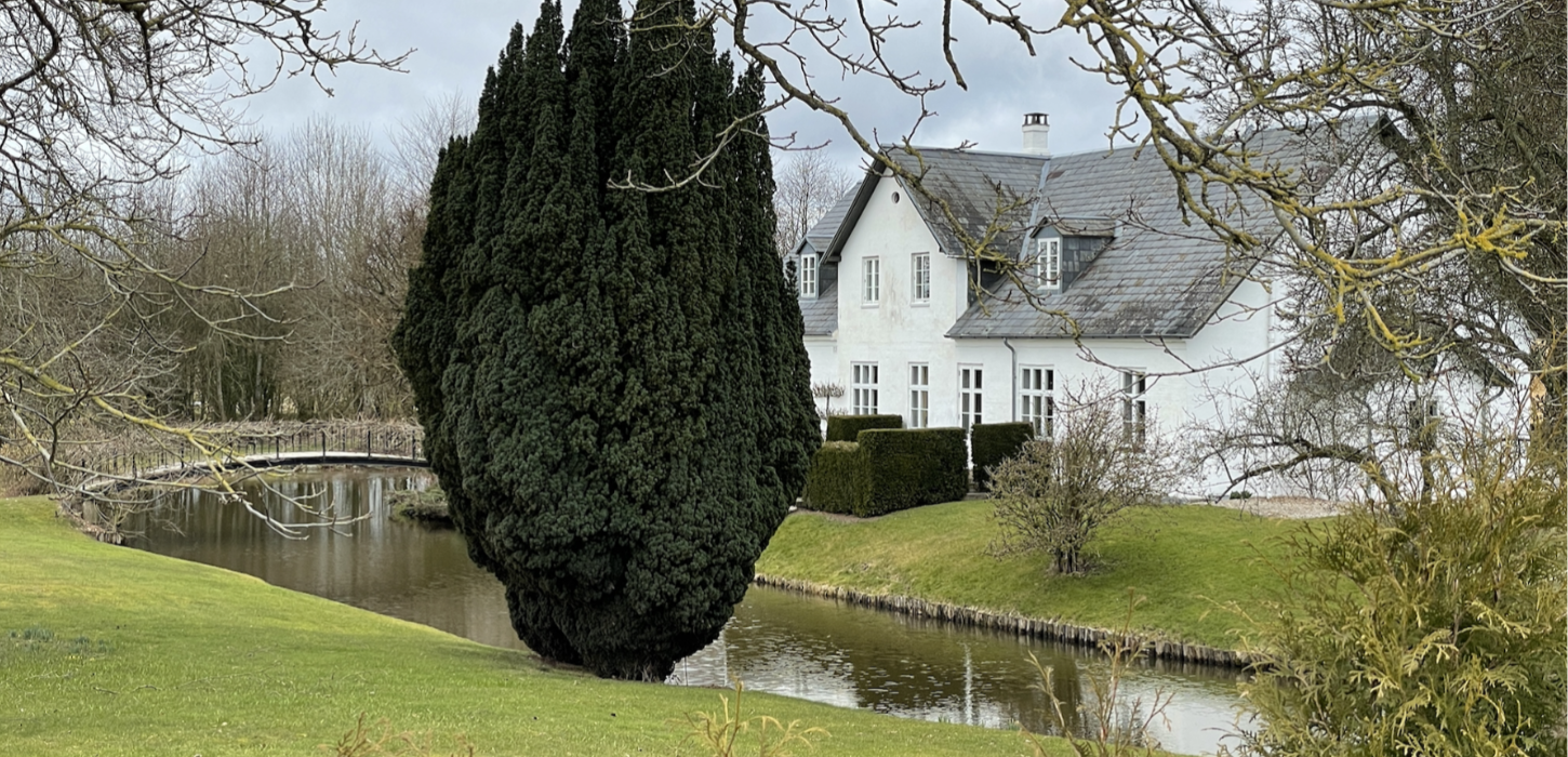 Hvid herregård med gråt tag med vand i forgrunden samt et stort mørkegrønt træ i midten af billedet.